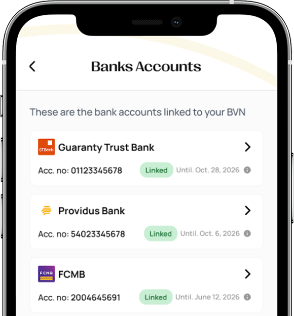 Link Your Bank, Access It All